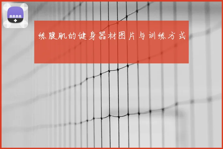 练腹肌的健身器材图片与训练方式