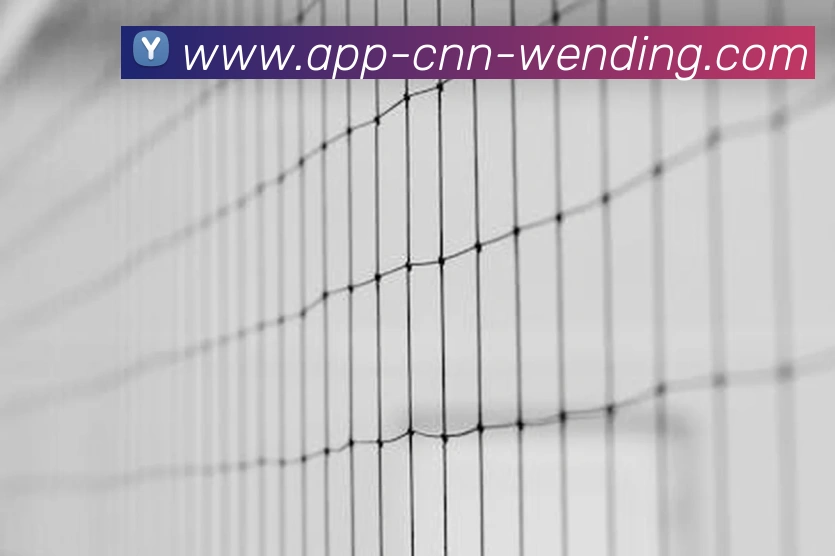 多媒体互动体验